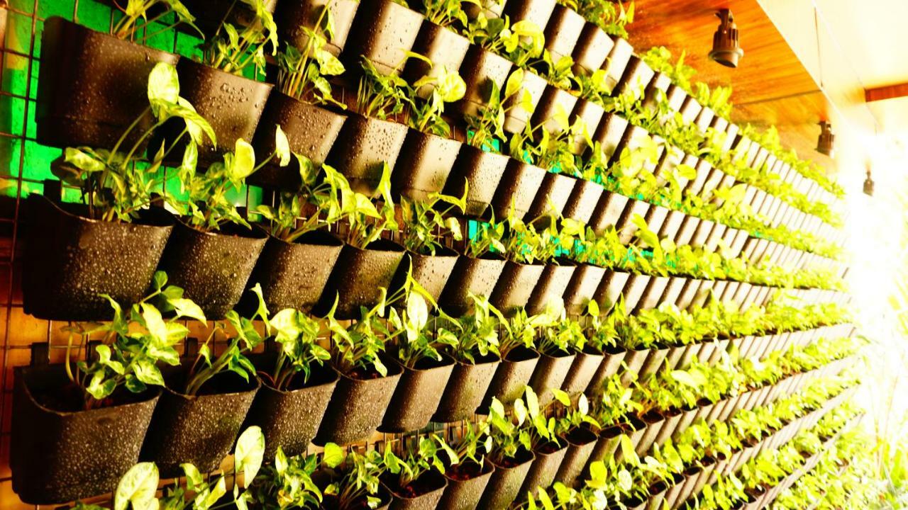 فندق ثايامكيريز رويال إن Kochi المظهر الخارجي الصورة